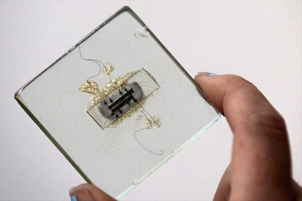 jack kilby the inventor of microchip jack kilby the inventor of microchip